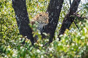 Maji Moto Maasai Cultural Camp