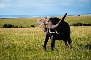 Maji Moto Maasai Cultural Camp
