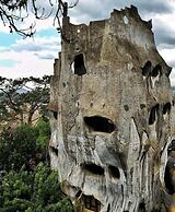 NATURE LAND 2 - Song Anh Hotel Dalat