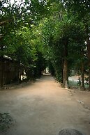 Ocean view terrace BISE