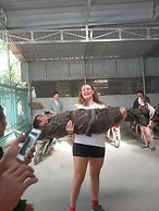 Cao Nguyen Guesthouse