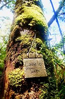 Ecoturismo Los Manzanos