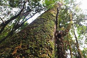 Ecoturismo Los Manzanos