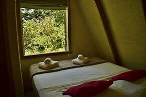 Ecoturismo Los Manzanos