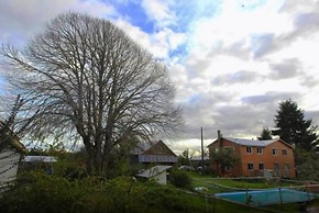 Ecoturismo Los Manzanos