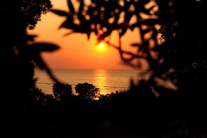 Rooster Guesthouse Rooms