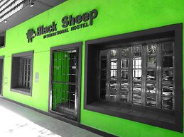 Black Sheep International Hostel