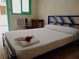 Black Sheep International Hostel