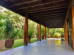 Daintree Manor Bed & Breakfast