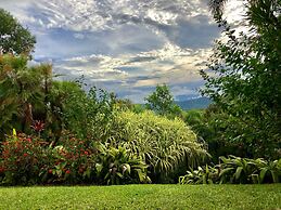 Daintree Manor Bed & Breakfast