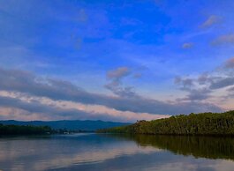 Daintree Manor Bed & Breakfast