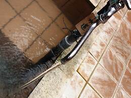 Guesthouse Tomoshibi - Hostel