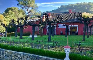 Les Pins Blancs de Provence