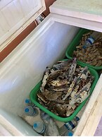 Sea Breeze Lodge Ngapali