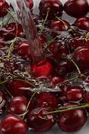 Hospitales del Pellegrino Trastevere