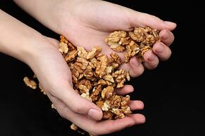 Hospitales del Pellegrino Trastevere