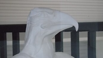 L'attrape coeurs