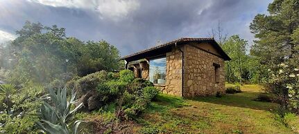 Apartamentos El Roble