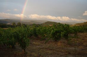 Le Gîte Vigneron