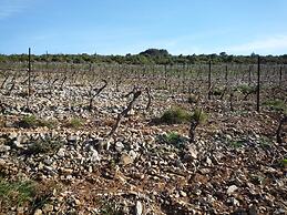 Le Gîte Vigneron