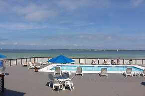 Palm Beach Club by Surfside VR