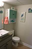 Sand Dollar by Surfside VR