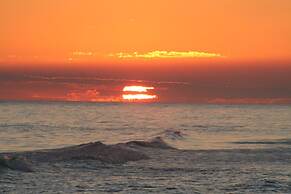 Sand Dollar by Surfside VR