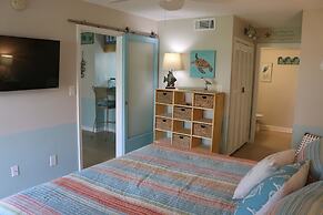 Sand Dollar by Surfside VR