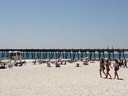 Sand Dollar by Surfside VR