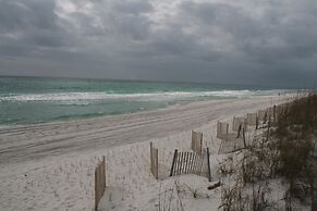 Sand Dollar by Surfside VR