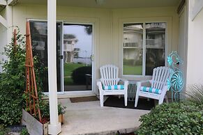 Sand Dollar by Surfside VR