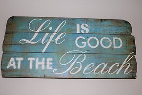 Sand Dollar by Surfside VR