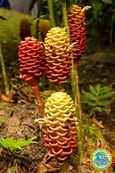 Eco Hotel Tierra de Agua