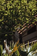 Eco Hotel Tierra de Agua