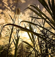 Eco Hotel Tierra de Agua