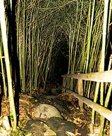 Eco Hotel Tierra de Agua