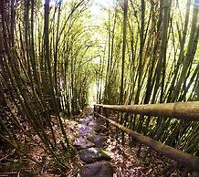 Eco Hotel Tierra de Agua