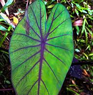 Eco Hotel Tierra de Agua