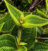 Eco Hotel Tierra de Agua