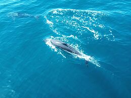 Corcovado Beach Lodge