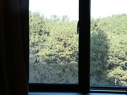 Brown dot Hotel Palyong