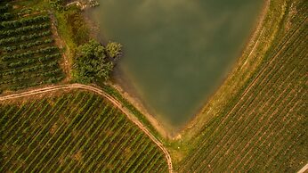 Tulbagh Mountain Manor