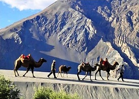 TIH Nubra Escapes Camp