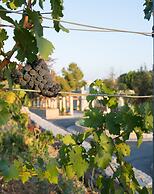 Gillham Vineyard Hotel - Adults Only