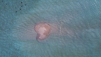 Reef Edge Thulusdhoo