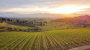 Agriturismo La Fattoria di Capezzana
