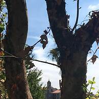 Pensión O Xardin de Julia