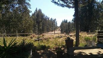 Cabañas Bosques del Rungue