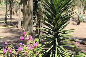 Cabañas Bosques del Rungue