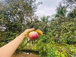 Forever Green Resort